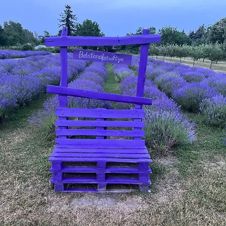 Banhiday M4 Weekendhouse 아파트